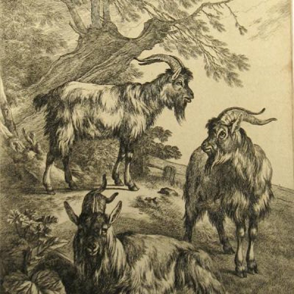 HUET Jean Baptiste, le Jeune