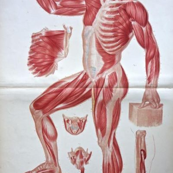 BOURGERY Jean-Baptiste