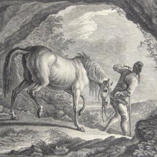 RIDINGER Martin Elias