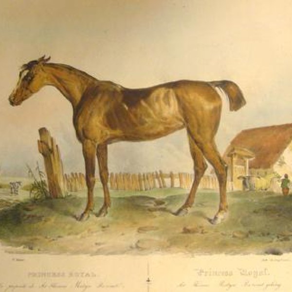 ENGELMANN Godefroy / VICTOR Adam