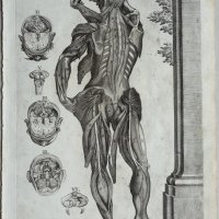 CORTONE Pierre de (d'après)