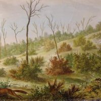 LANGLUMÉ Pierre, imprimeur-lithographe