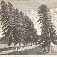 PHELIPPES-BEAULIEU Emmanuel