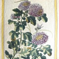 BUCHOZ Pierre-Joseph