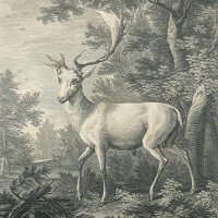 RIDINGER Martin Elias